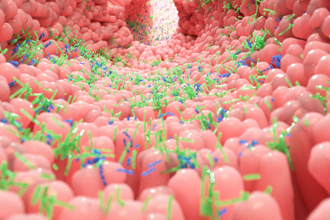 Importanza del microbiota intestinale nella salute del cane. Ultime evidenze scientifiche, una review